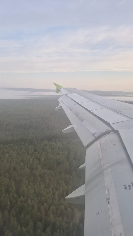 Крыло самолёта над землёй
