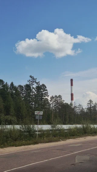 Дорога вдоль леса под голубым небом