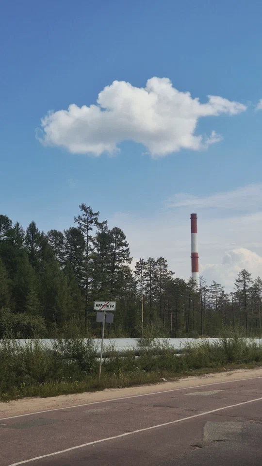 Дорога вдоль леса под голубым небом