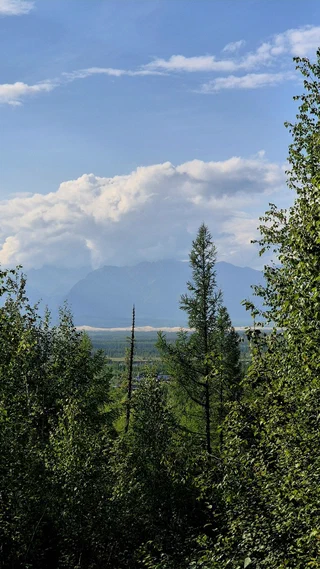 Лес и дальний пейзаж под облачным небом